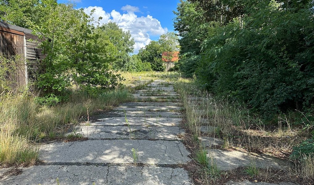 Pronájem pozemku 100 m², Praha – náhled fotky 9