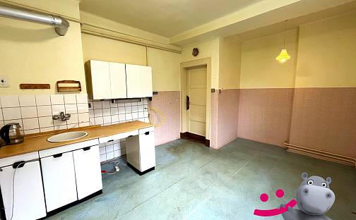 Prodej bytu 3+1 95 m², Purkyňova, Jeseník