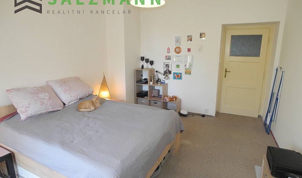 Prodej bytu 2+kk 42 m², Plzeň – náhled fotky 8