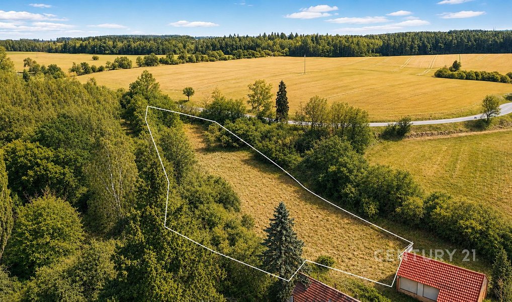 Prodej stavebního pozemku 3 207 m², Všesulov – náhled fotky 4