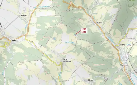 Dražba lesa 7 904 m², Horní Studénky