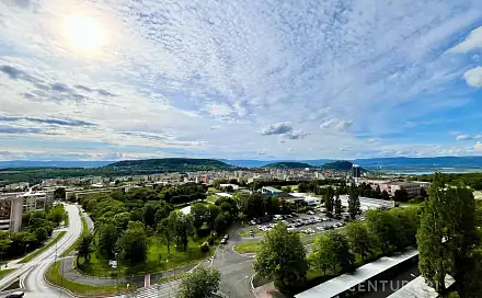 Pronájem bytu 1+1 32 m², Javorová, Most