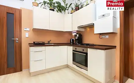Pronájem bytu 1+1 41 m², Rumunská, Znojmo