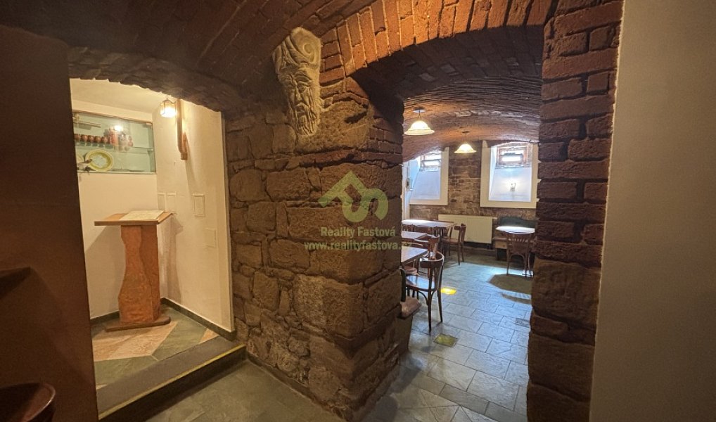 Pronájem restaurace 124 m², Plzeň – náhled fotky 4