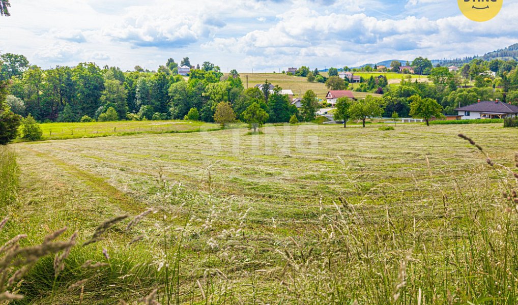 Prodej stavebního pozemku 1 693 m², Milíkov – náhled fotky 4