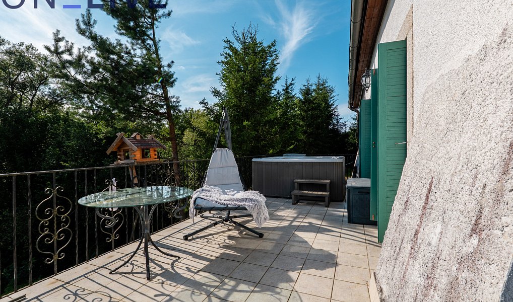 Prodej domu 650 m² s pozemkem 3 730 m², Rozvadov – náhled fotky 9