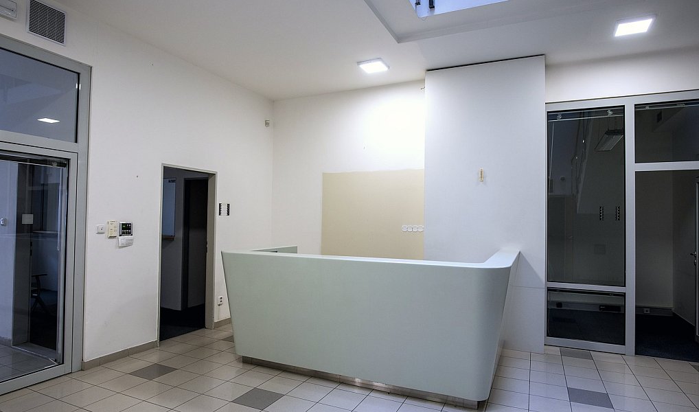 Pronájem kanceláře 1 290 m², Praha – náhled fotky 5