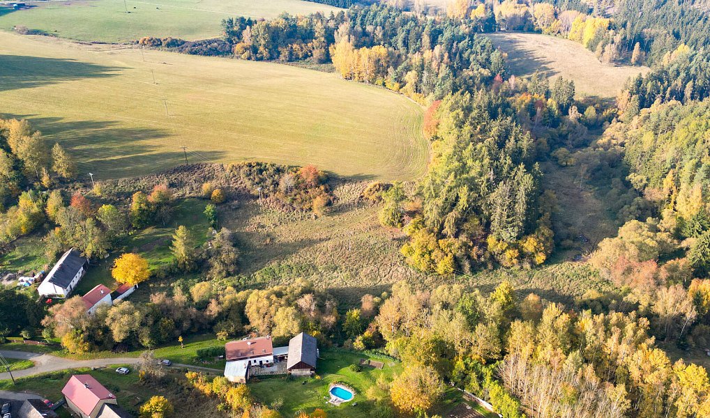 Prodej pozemku 15 970 m², Planá – náhled fotky 4