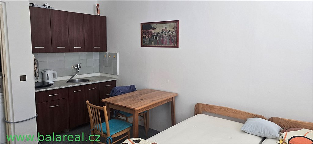 Pronájem bytu 1+kk 25 m² — photo 2
