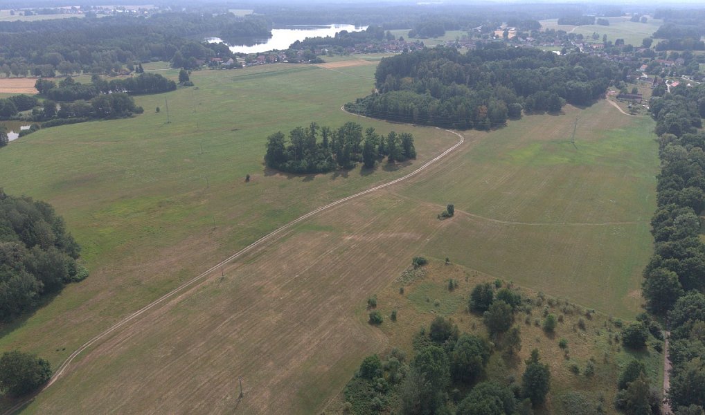 Prodej lesa 360 000 m², Chlum u Třeboně – náhled fotky 5