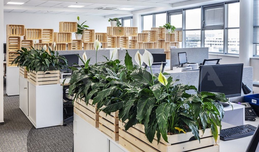 Pronájem kanceláře 883 m², Praha – náhled fotky 8