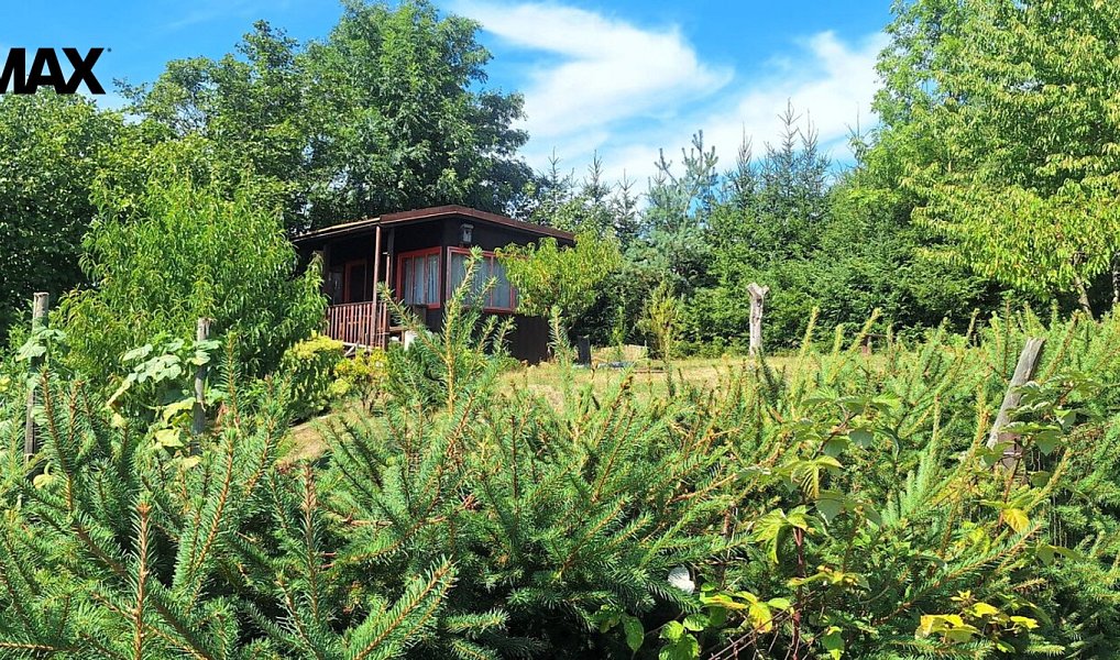 Prodej zahrady 5 947 m², Přibyslav – náhled fotky 9