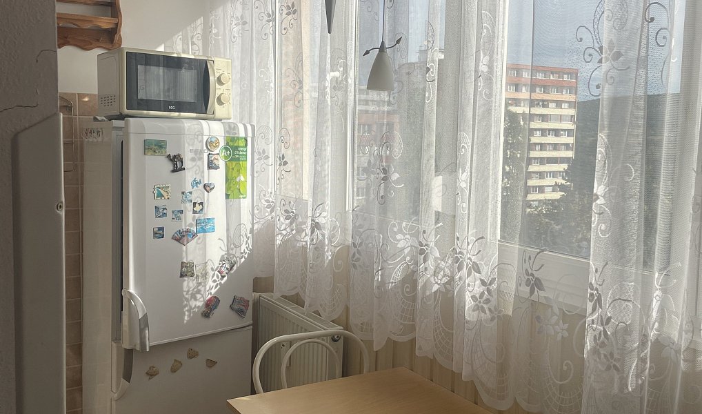 Prodej bytu 2+1 49 m², Mladá Boleslav – náhled fotky 9