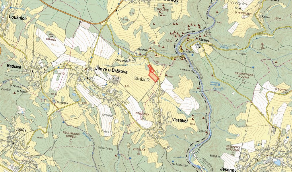 Prodej louky 5 847 m², Jílové u Držkova – náhled fotky 2