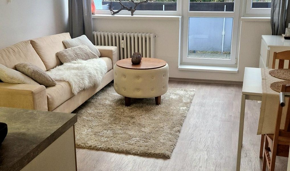 Pronájem bytu 1+kk 23 m², Luhačovice – náhled fotky 7