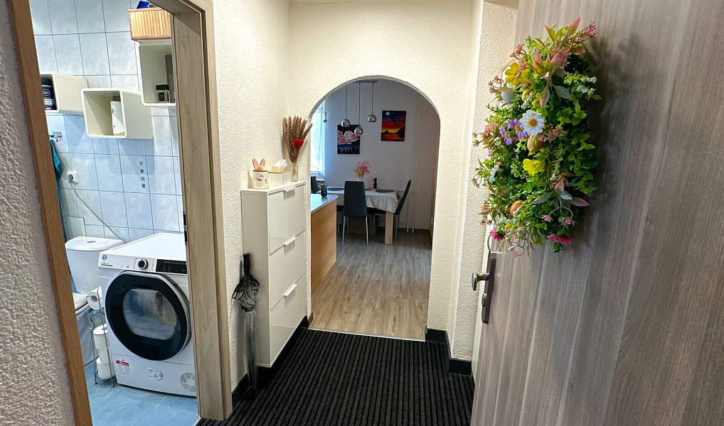 Prodej bytu 2+1 48 m², Bor – náhled fotky 2