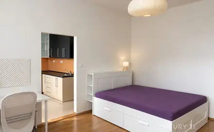 Pronájem bytu 1+1 39 m², Jílkova, Brno - Židenice