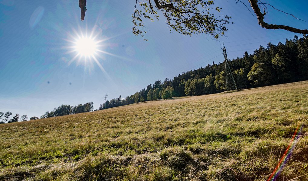 Prodej stavebního pozemku 753 m², Horní Maršov – náhled fotky 3