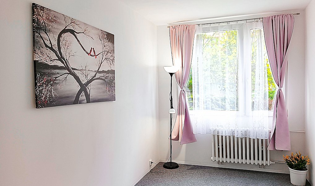 Pronájem pokoje 91 m², Praha – náhled fotky 7