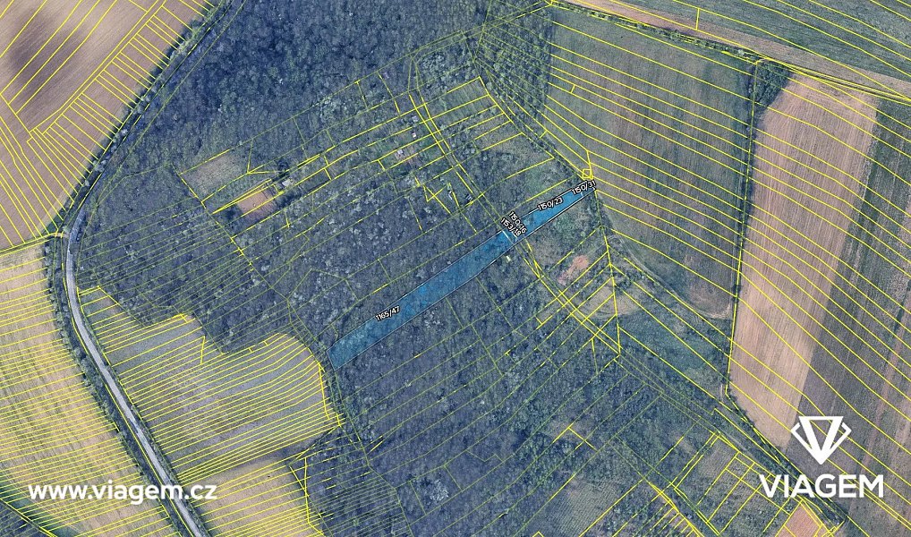 Prodej lesa 4 817 m², Silůvky – náhled fotky 4