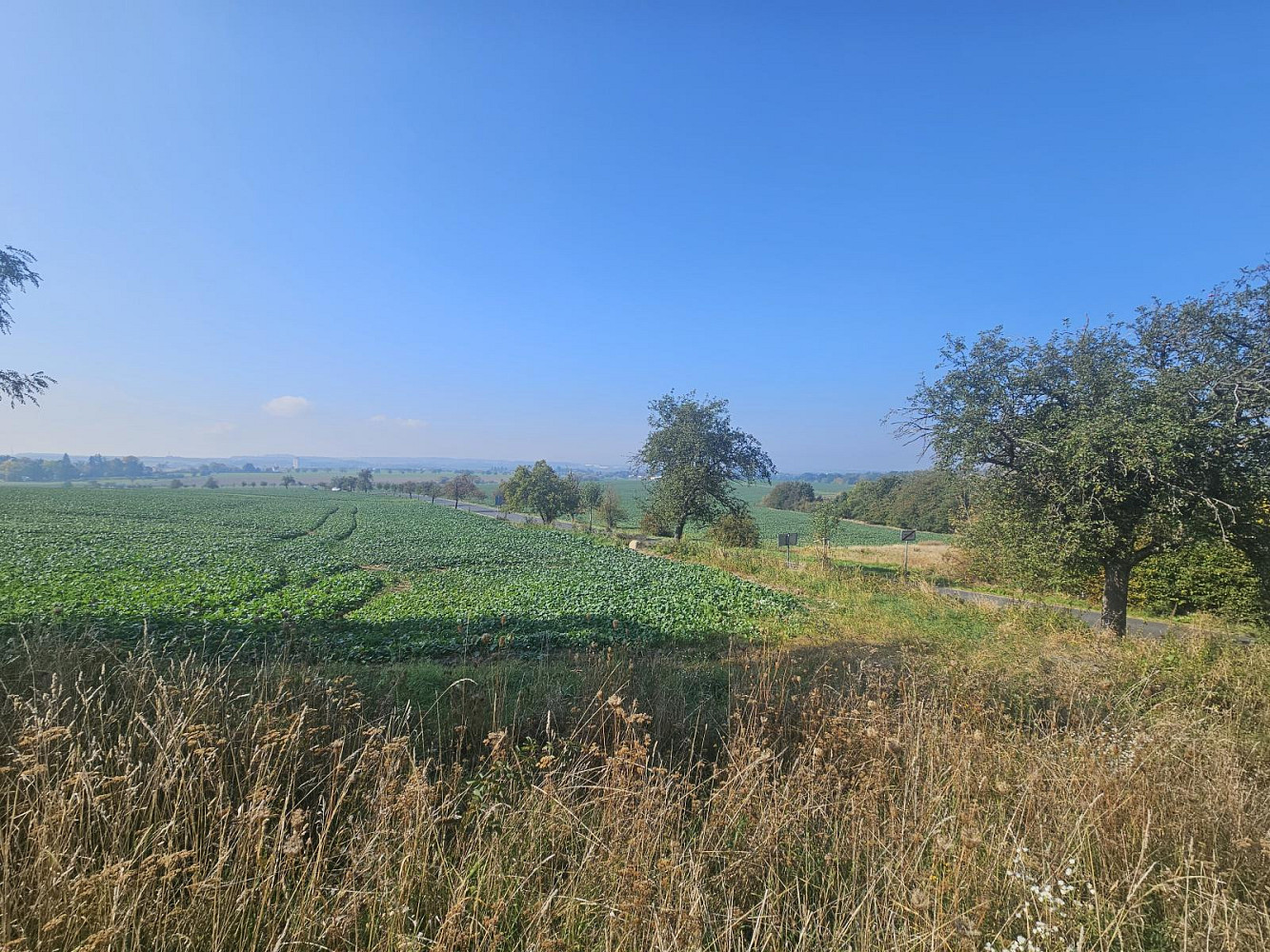 Fotka 17 z 18