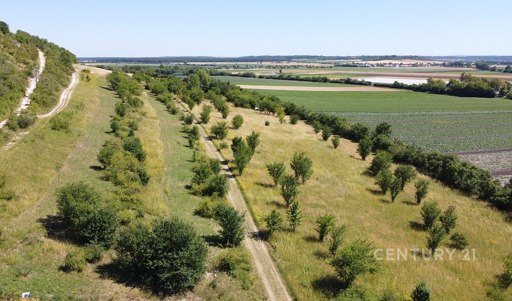 Prodej stavebního pozemku 1 659 m², Přerov nad Labem – náhled fotky 13