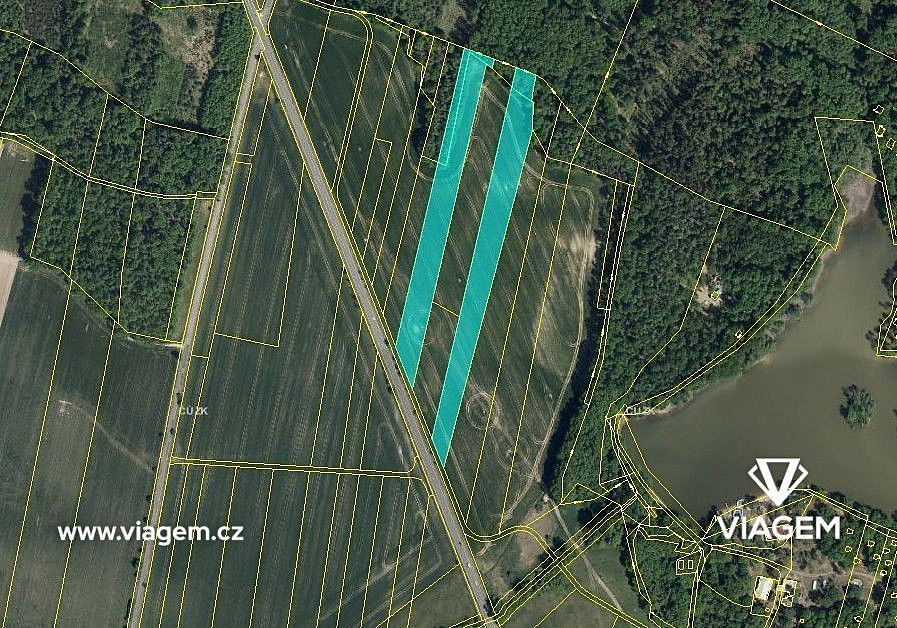 Prodej pole 3 316 m² – fotografie 3