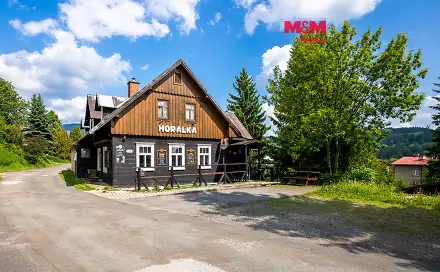 Prodej ubytovacího objektu 374 m², Rokytnice nad Jizerou, okres Semily