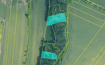 Prodej lesa 5 674 m², Skály, okres Písek