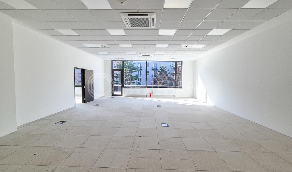 Pronájem kanceláře 1 800 m², Brno – náhled fotky 3