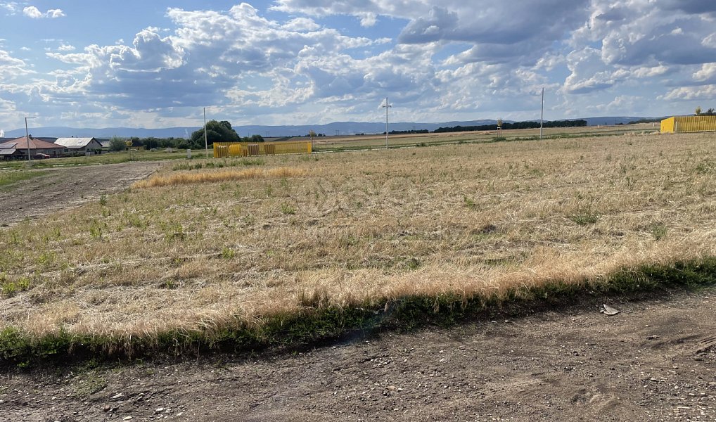 Prodej stavebního pozemku 2 167 m², Hrušovany – náhled fotky 5