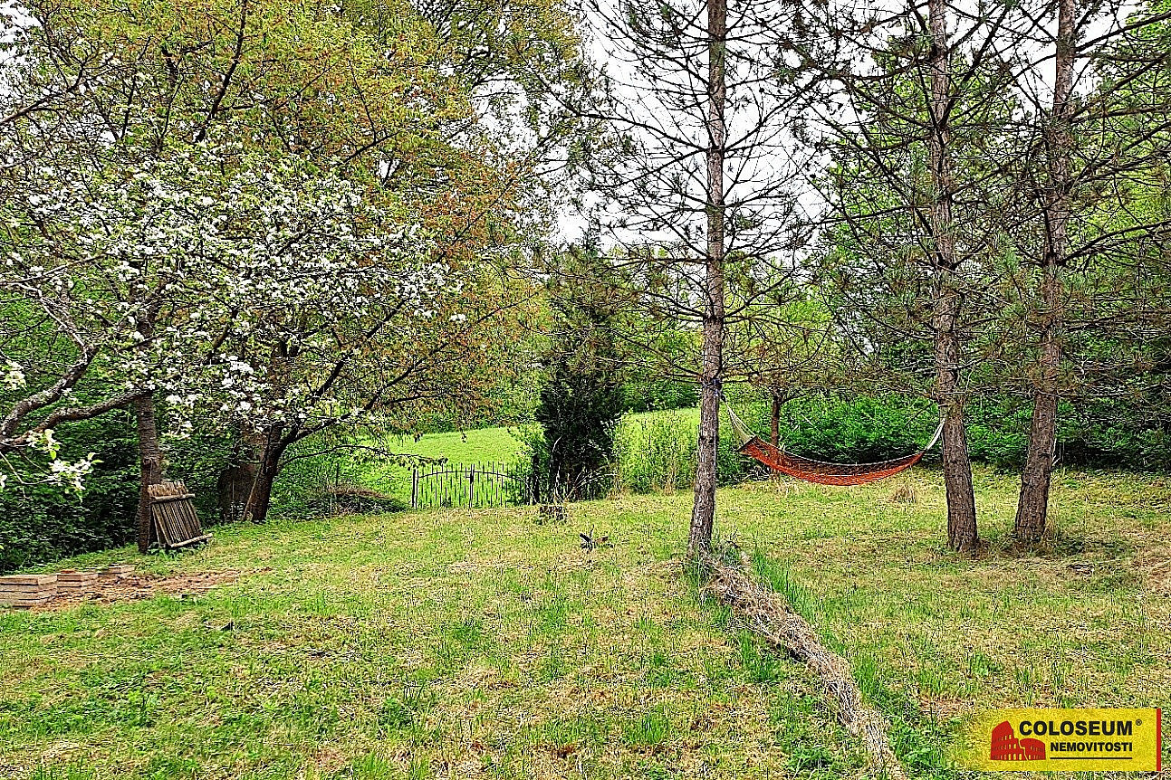 Prodej zahrady 1 242 m² – fotografie 3