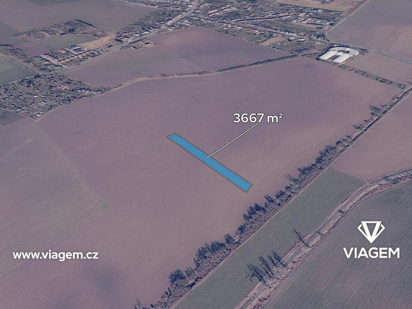 Prodej pole 3 667 m²