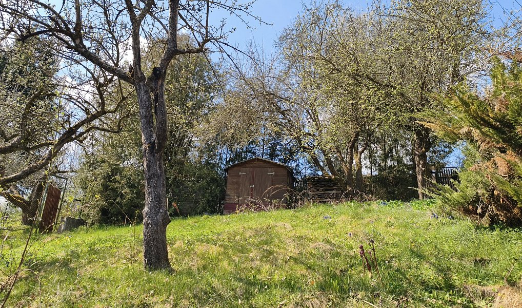 Prodej chaty/chalupy 23 m² s pozemkem 454 m², Libeř – náhled fotky 11