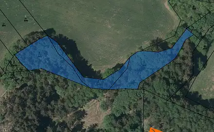 Prodej lesa 4 299 m², Syřenov, okres Semily