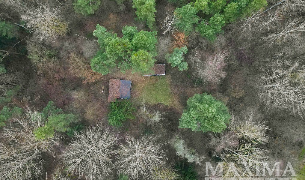 Prodej zahrady 2 304 m², Olešnice – náhled fotky 15