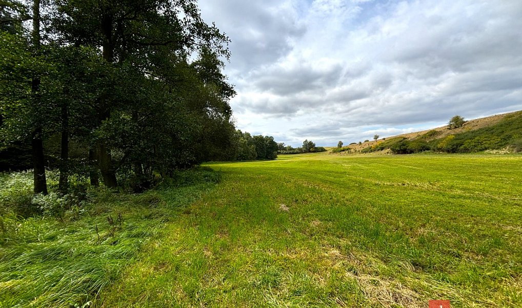 Prodej louky 1 277 m², Rybníky – náhled fotky 9