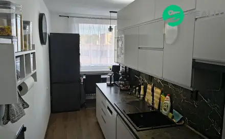 Prodej bytu 2+1 54 m², Hany Kvapilové, Jihlava
