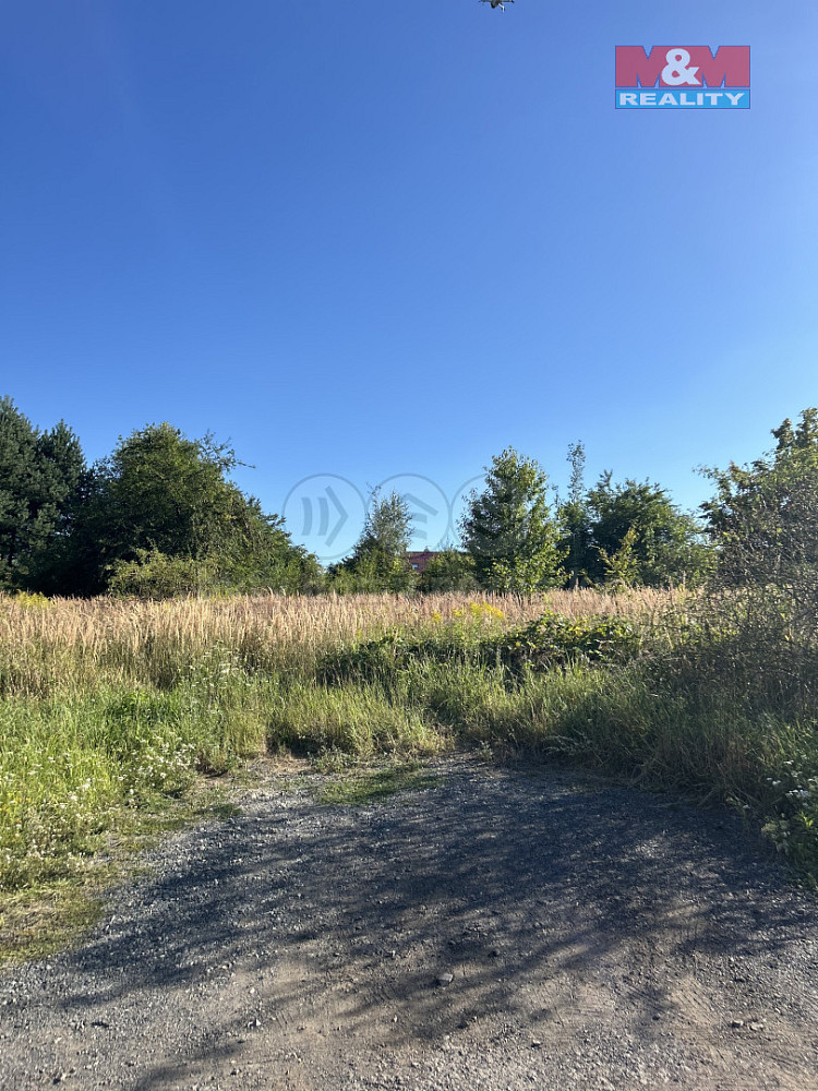 Fotka 15 z 16