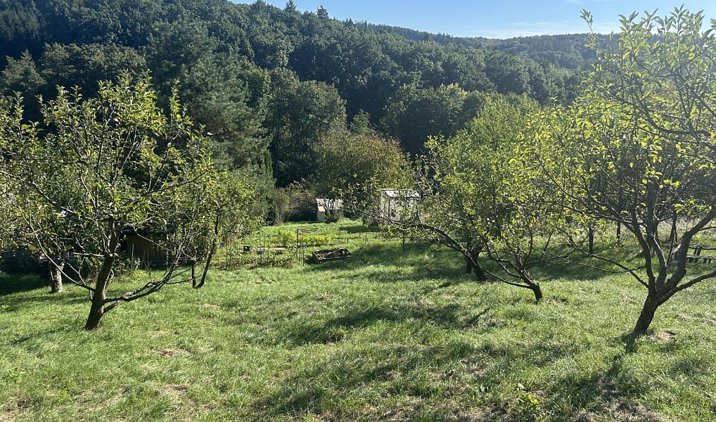 Prodej zahrady 554 m², Zlín – náhled fotky 6