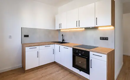 Prodej bytu 2+1 55 m², Zdeňka Štěpánka, Most