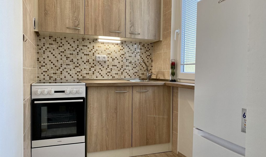 Pronájem bytu 1+1 30 m², Praha – náhled fotky 2