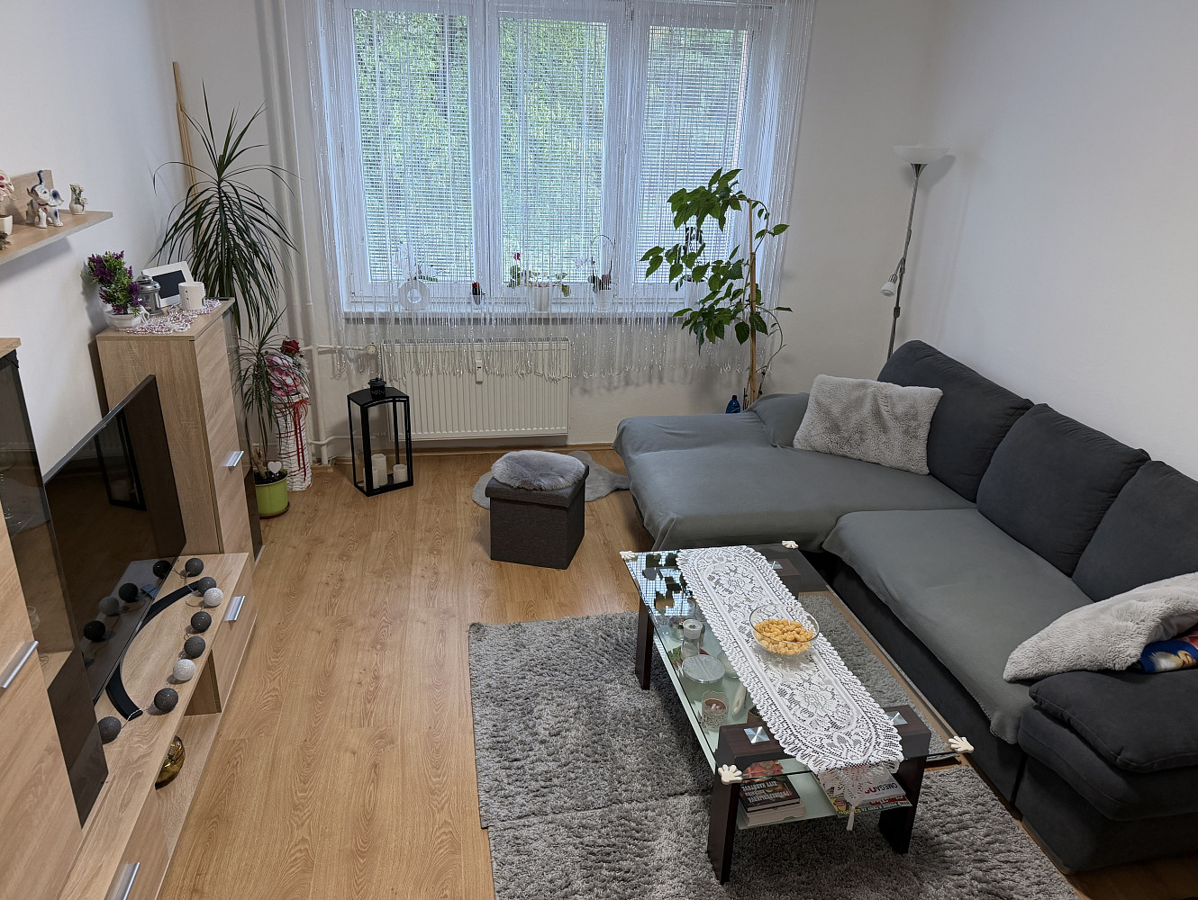 Prodej bytu 2+1 54 m² — photo 4