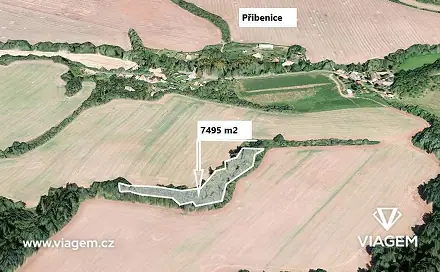 Prodej lesa 7 495 m², Lubenec, okres Louny