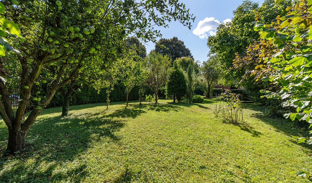 Prodej domu 50 m² s pozemkem 793 m², Velký Osek – náhled fotky 8