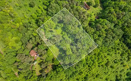 Prodej stavebního pozemku 5 519 m², Hrubá Skála, okres Semily