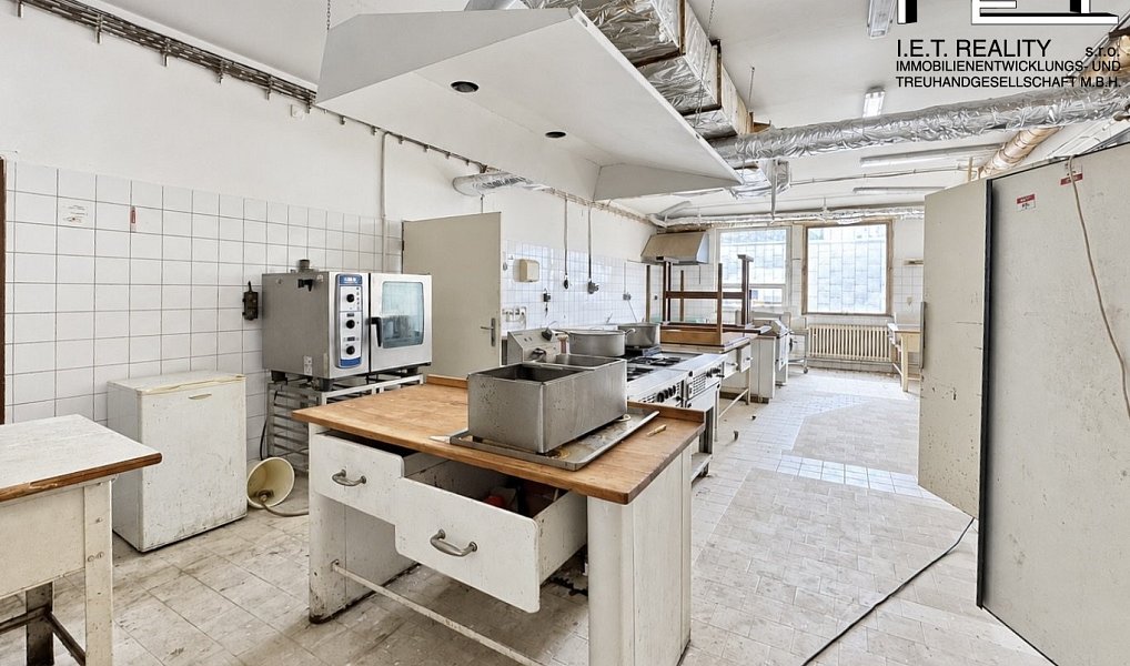 Prodej komerčního objektu (jiného typu) 3 138 m², Pozořice – náhled fotky 12