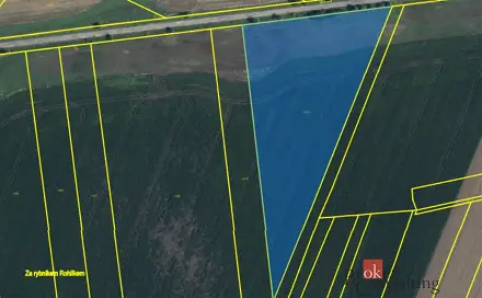 Prodej pole 28 045 m², Nový Bydžov - Nová Skřeněř, okres Hradec Králové