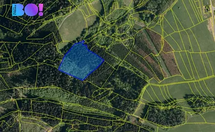 Prodej lesa 14 596 m², Valašská Polanka, okres Vsetín