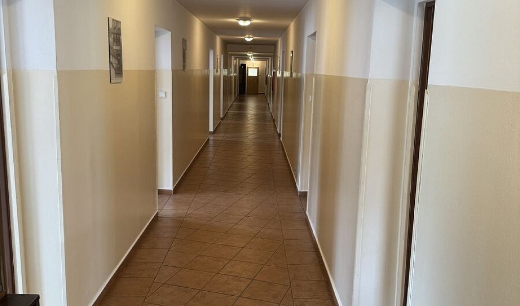 Prodej ubytovacího objektu 800 m², Český Krumlov – náhled fotky 10